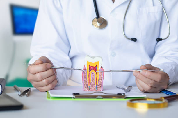 Best Emergency Dentist for Special Needs Patients in Sapulpa, OK